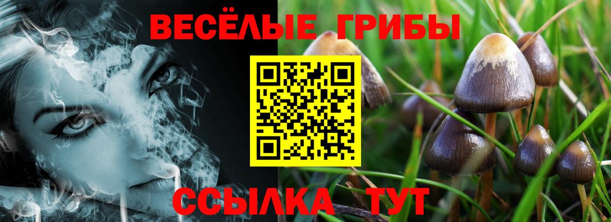 Псилоцибиновые грибы мицелий Канаш