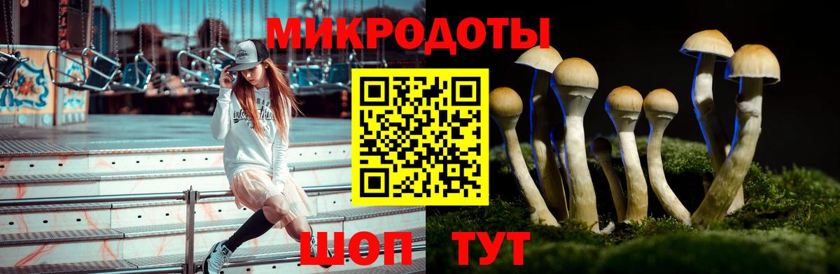 Псилоцибиновые грибы GOLDEN TEACHER  Вход с VPN  Канаш  Галлюциногенные грибы Psilocybine cubensis 